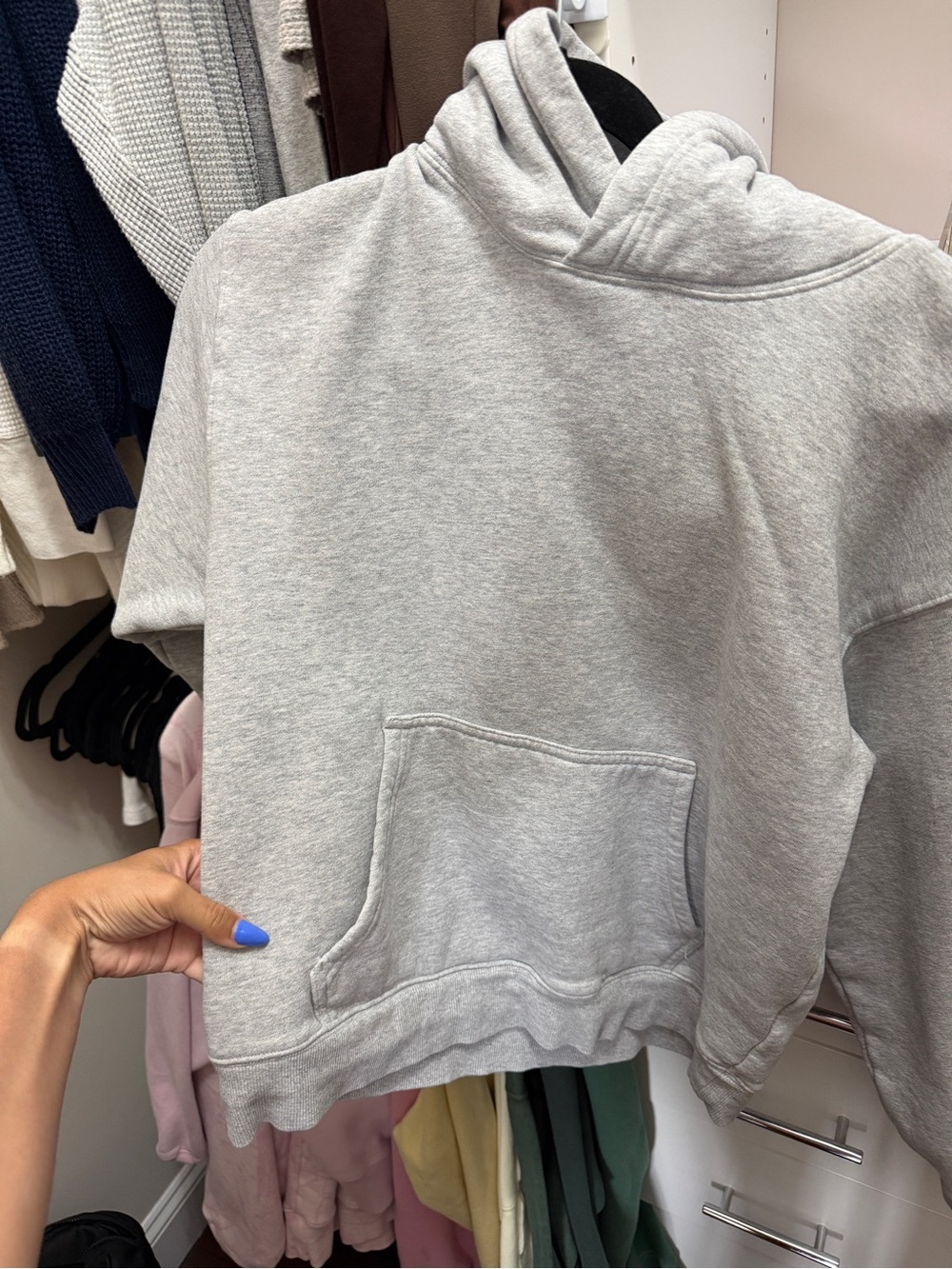 Aritzia Gray Sweatshirt
